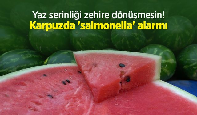 Yaz serinliği zehire dönüşmesin! Karpuzda 'salmonella' alarmı