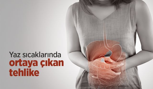 Yaz sıcaklarında ortaya çıkan tehlike