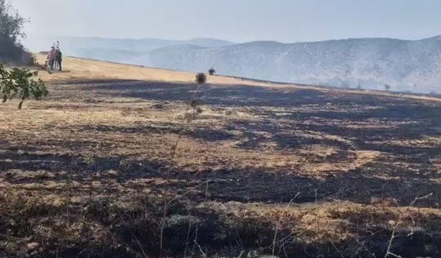 çıkan anız yangını kontrol altına alındı