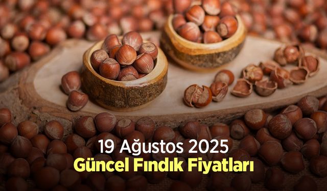 19 Ağustos 2025 Güncel Fındık Fiyatları