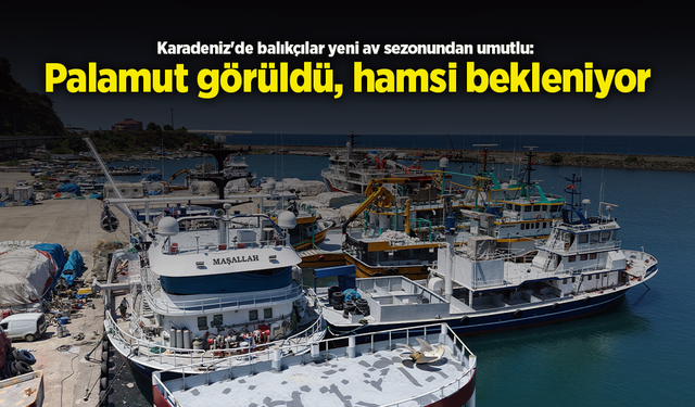 Karadeniz'de balıkçılar yeni av sezonundan umutlu: Palamut görüldü, hamsi bekleniyor.