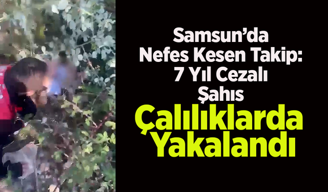 Samsun’da Nefes Kesen Takip: 7 Yıl Cezalı Şahıs Çalılıklarda Yakalandı.