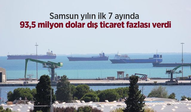 Samsun yılın ilk 7 ayında 93,5 milyon dolar dış ticaret fazlası verdi