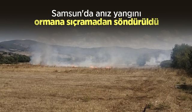 Samsun'da anız yangını ormana sıçramadan söndürüldü