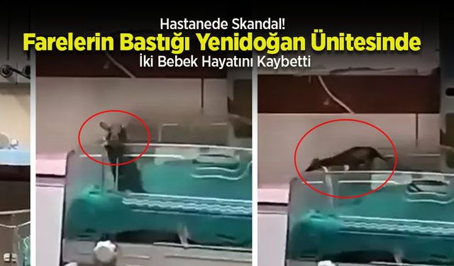Hastanede Skandal! Farelerin Bastığı Yenidoğan Ünitesinde İki Bebek Hayatını Kaybetti