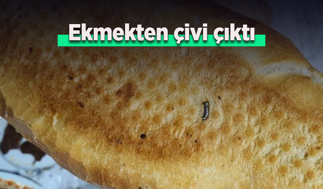Ekmekten çivi çıktı