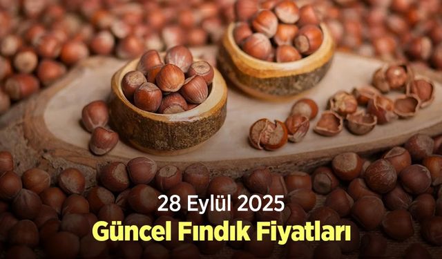 28 Eylül 2025 Güncel Fındık Fiyatları
