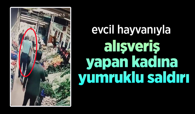Evcil hayvanıyla alışveriş yapan kadına yumruklu saldırı.