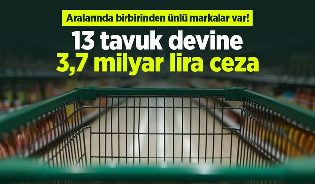 Aralarında birbirinden ünlü markalar var! 13 tavuk devine 3,7 milyar lira ceza