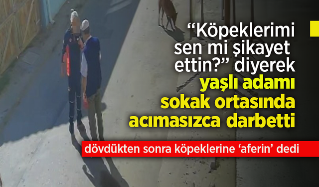 "Köpeklerimi sen mi şikayet ettin?" diyerek yaşlı adamı sokak ortasında darbetti.