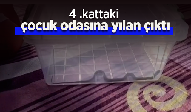 4. kattaki çocuk odasına yılan girdi.