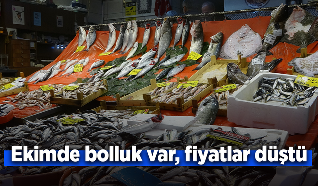 Ekimde bolluk var, fiyatlar düştü.