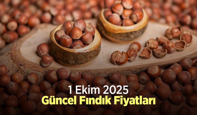 1 Ekim 2025 Güncel Fındık Fiyatları