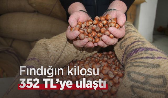 Fındığın kilosu 352 TL’ye ulaştı