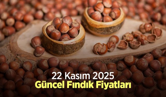 22 Kasım 2025 Güncel Fındık Fiyatları