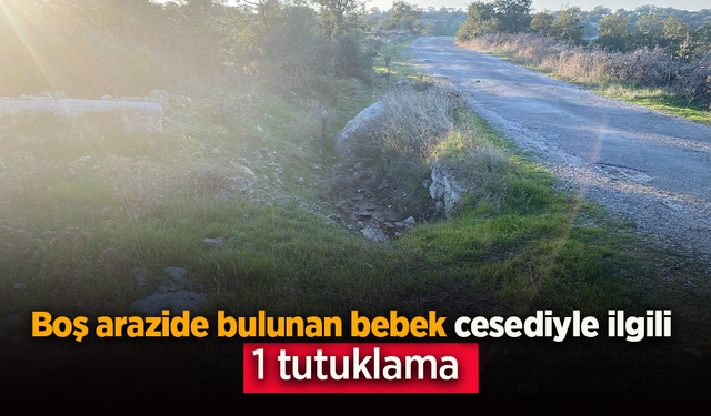 Boş arazide bulunan bebek cesediyle ilgili 1 tutuklama