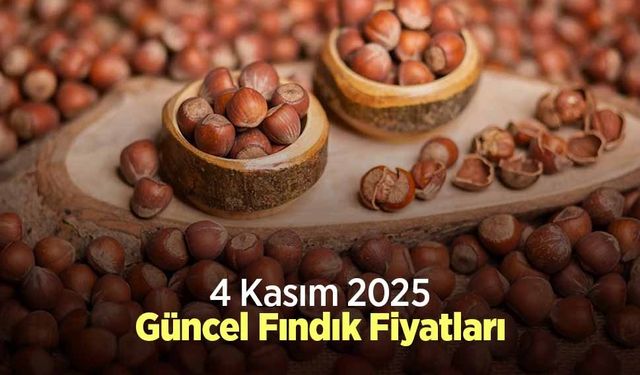 4 Kasım 2025 Güncel Fındık Fiyatları