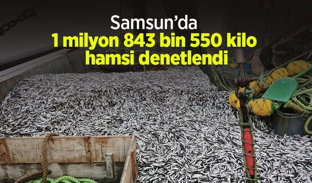 Samsun’da 1 milyon 843 bin 550 kilo hamsi denetlendi