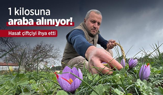 1 kilosuna araba alınıyor! Hasat çiftçiyi ihya etti