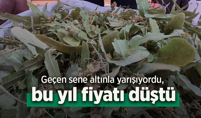 Geçen sene altınla yarışıyordu, bu yıl fiyatı düştü