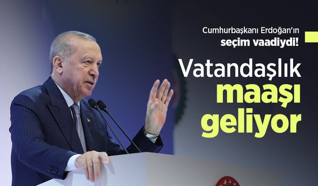 Cumhurbaşkanı Erdoğan'ın seçim vaadiydi! Vatandaşlık maaşı geliyor