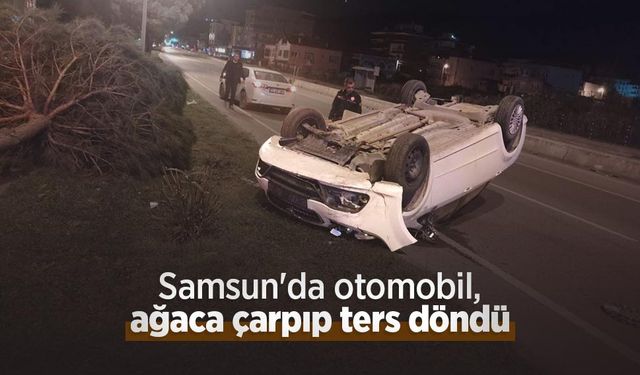 Samsun'da otomobil, ağaca çarpıp ters döndü; 1 yaralı