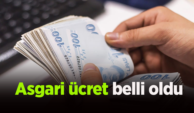 Asgari ücret belli oldu.