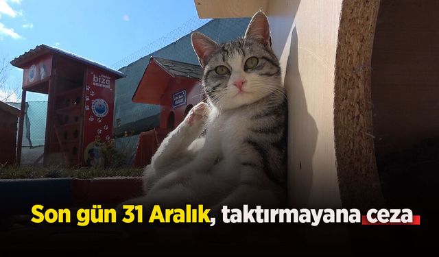 Son gün 31 Aralık, taktırmayana ceza