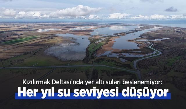 Kızılırmak Deltası’nda yer altı suları beslenemiyor: Her yıl su seviyesi düşüyor