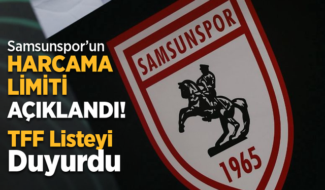 Samsunspor’un Harcama Limiti Açıklandı! TFF Listeyi Duyurdu