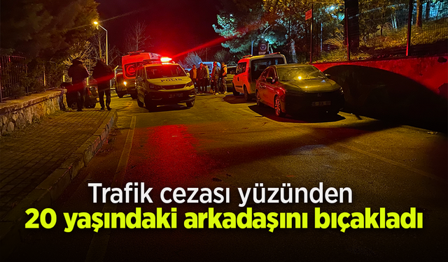 Trafik cezası yüzünden 20 yaşındaki arkadaşını bıçakladı