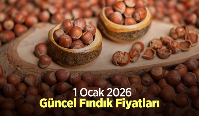1 Ocak 2026 Güncel Fındık Fiyatları