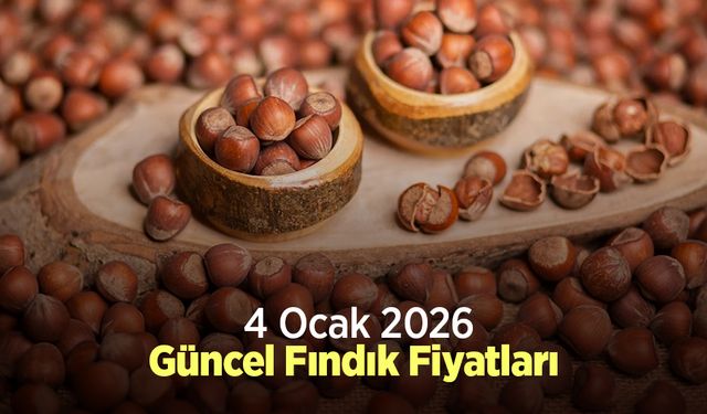 4 Ocak 2026 Güncel Fındık Fiyatları