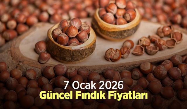 7 Ocak 2026 Güncel Fındık Fiyatları