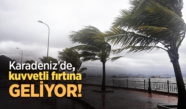 Karadeniz’de kuvvetli fırtına geliyor
