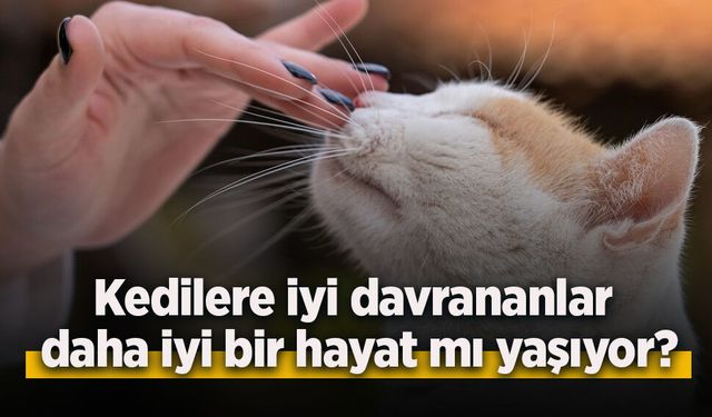Kedilere iyi davrananlar daha iyi bir hayat mı yaşıyor?