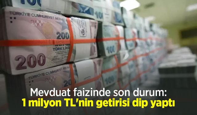 Mevduat faizinde son durum: 1 milyon TL'nin getirisi dip yaptı