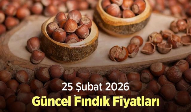 25 Şubat 2026 Güncel Fındık Fiyatları