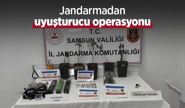 Jandarmadan uyuşturucu operasyonu