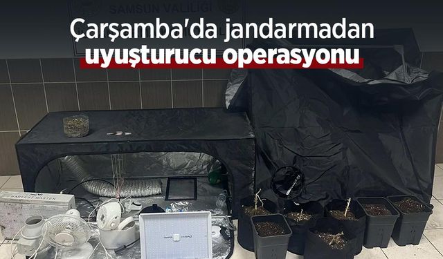 Çarşamba'da jandarmadan uyuşturucu operasyonu