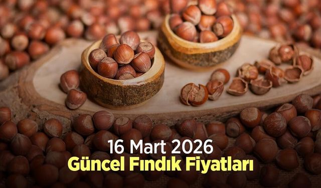 16 Mart 2026 Güncel Fındık Fiyatları