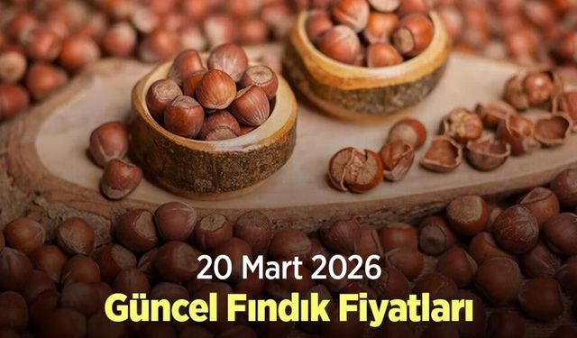 20 Mart 2026 Güncel Fındık Fiyatları