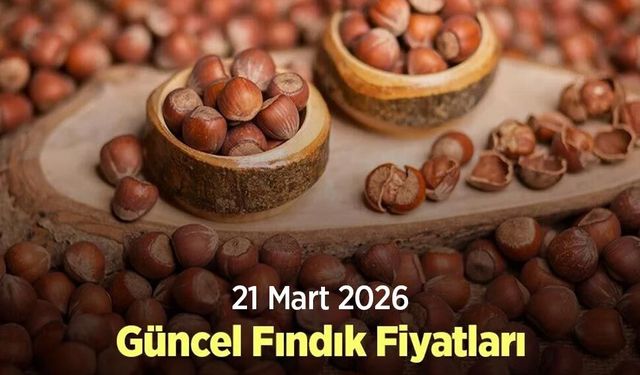 21 Mart 2026 Güncel Fındık Fiyatları