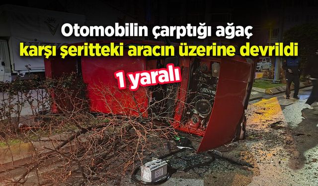 Otomobilin çarptığı ağaç karşı şeritteki aracın üzerine devrildi: 1 yaralı