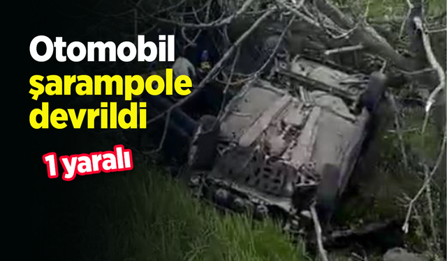 Otomobil şarampole devrildi: 1 yaralı