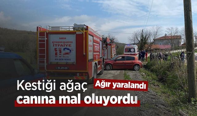 Kestiği ağaç canına mal oluyordu: Ağır yaralandı