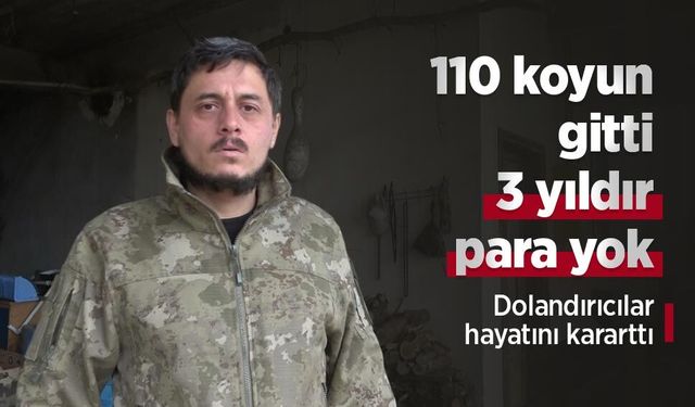 110 koyun gitti, 3 yıldır para yok: Dolandırıcılar hayatını kararttı