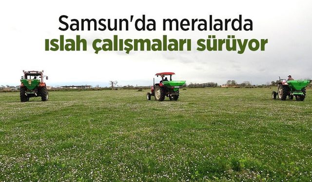 Samsun'da meralarda ıslah çalışmaları sürüyor