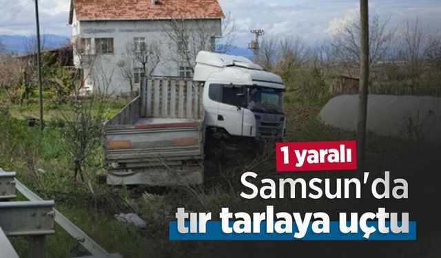 Samsun'da tır tarlaya uçtu: 1 yaralı
