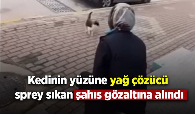 Asayiş